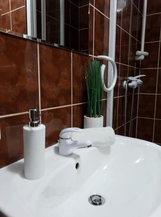 Apartament Dominik Zakopane Dış mekan fotoğraf