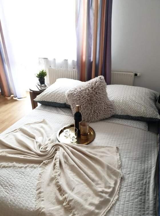 Apartament Dominik Zakopane Dış mekan fotoğraf