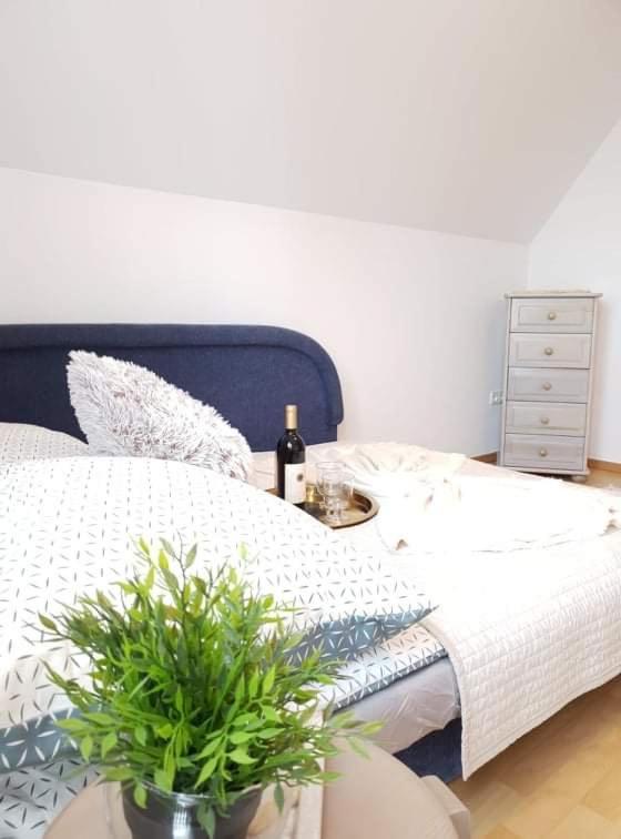 Apartament Dominik Zakopane Dış mekan fotoğraf