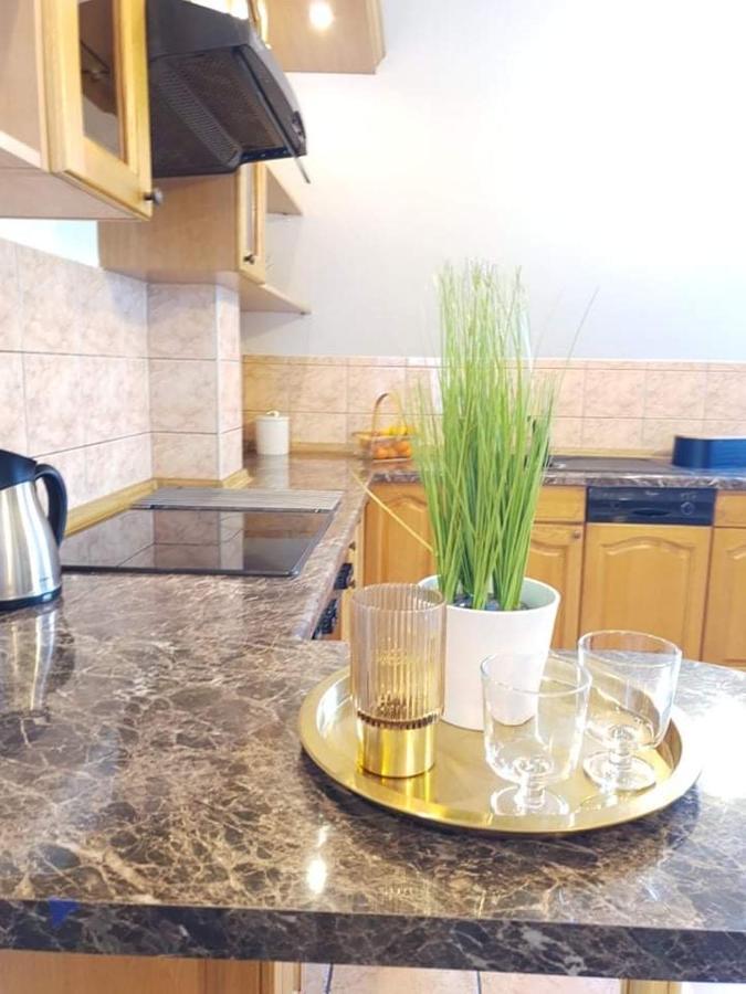 Apartament Dominik Zakopane Dış mekan fotoğraf