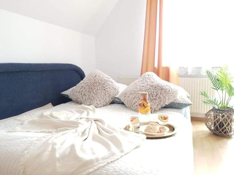 Apartament Dominik Zakopane Dış mekan fotoğraf