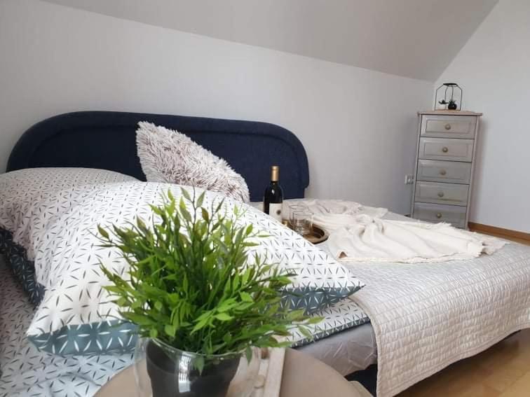 Apartament Dominik Zakopane Dış mekan fotoğraf